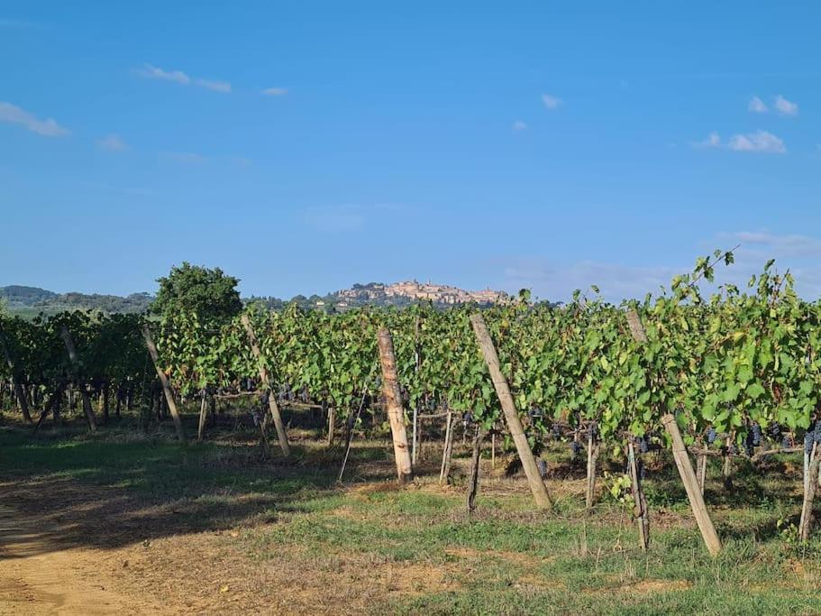 Montepulciano - La Casetta Del Pian Delle Noci Acquaviva (Montepulciano) Exterior foto