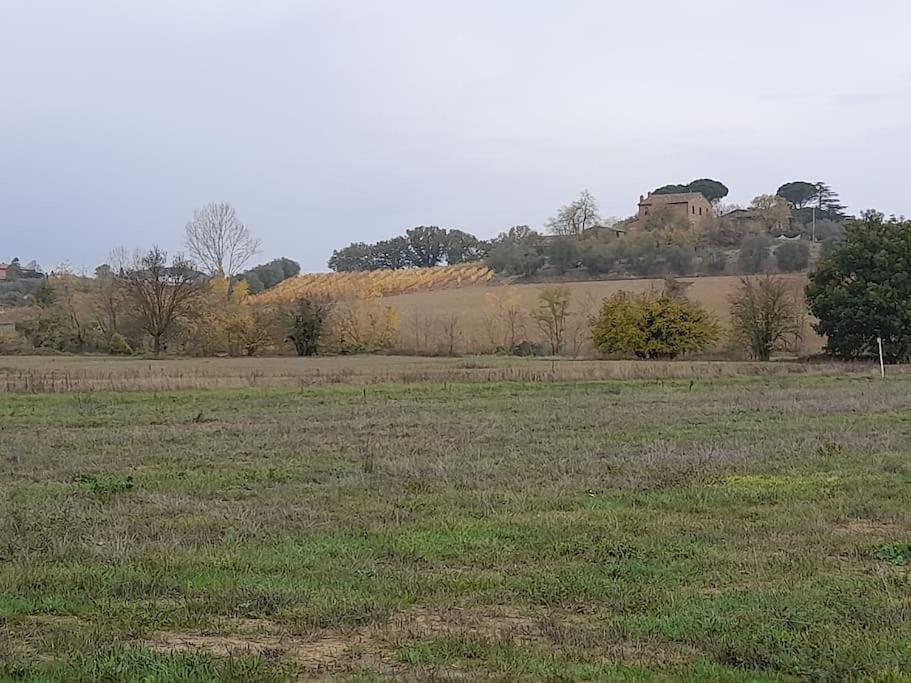 Montepulciano - La Casetta Del Pian Delle Noci Acquaviva (Montepulciano) Exterior foto