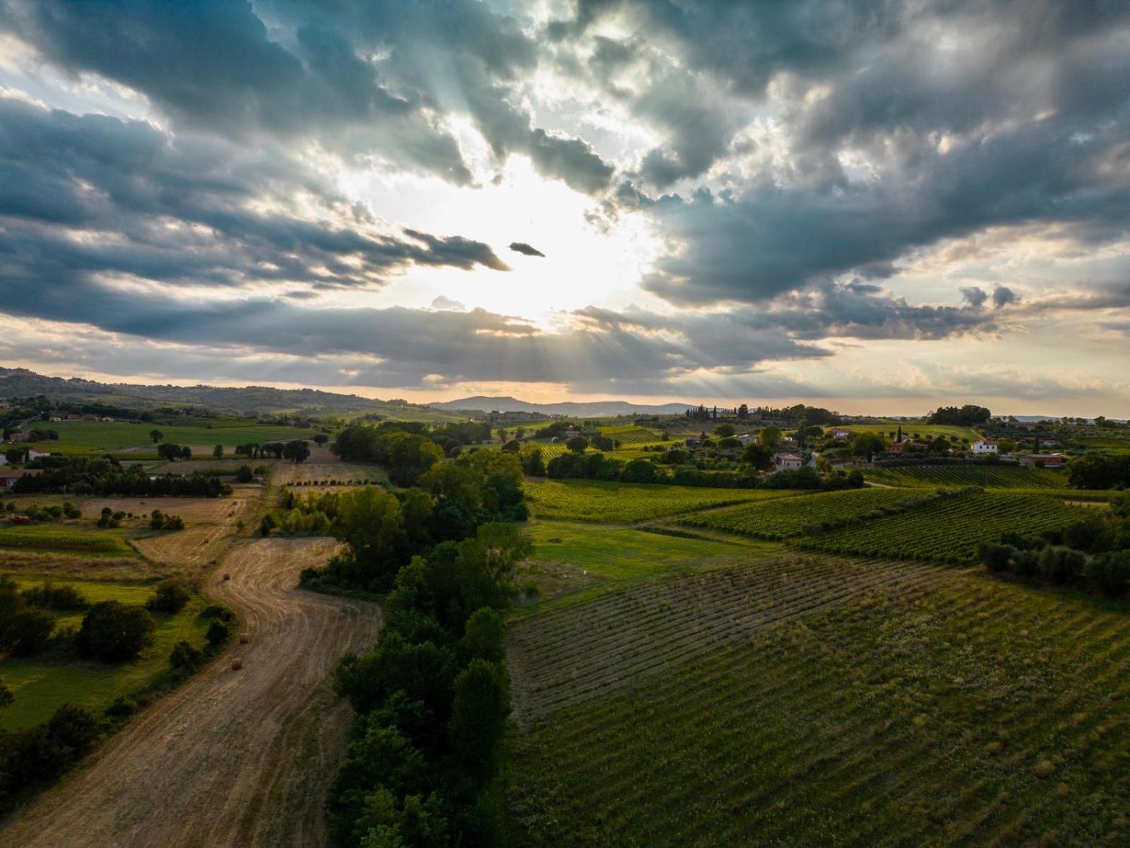 Montepulciano - La Casetta Del Pian Delle Noci Acquaviva (Montepulciano) Exterior foto